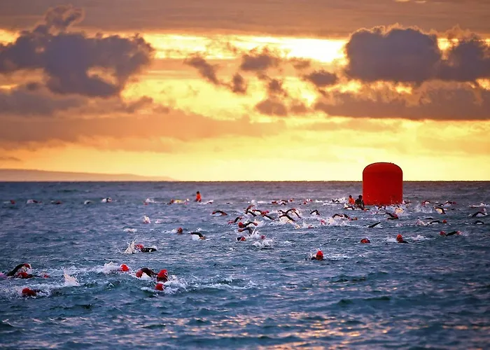 Sporting فندق بيناريلا