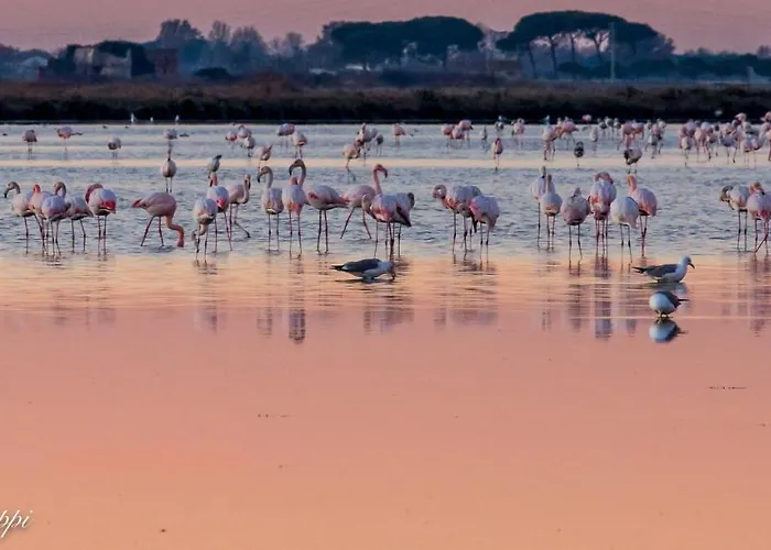 Sporting بيناريلا